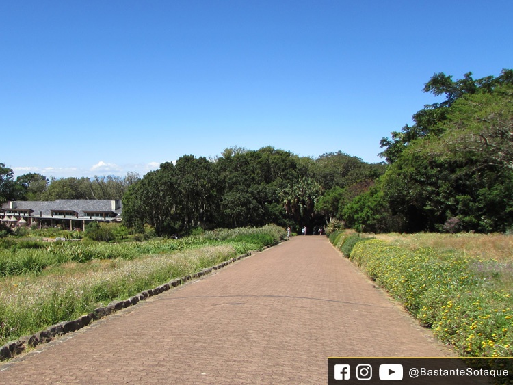 Jardim Botânico de Kirstenbosch - Cidade do Cabo/Cape Town, África do Sul
