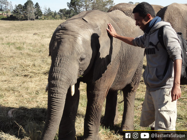 Knysna Elephant Park, África do Sul
