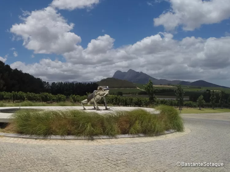 Vinícola Anura - Stellenbosch, África do Sul