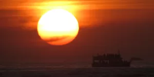 Passeio de barco em Cape Town
