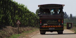 Wine Tram - Franschhoek, África do Sul