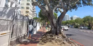 Green Point - Bairro da Cidade do Cabo/Cape Town, África do Sul