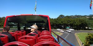 Passeios em Cape Town: Red Bus