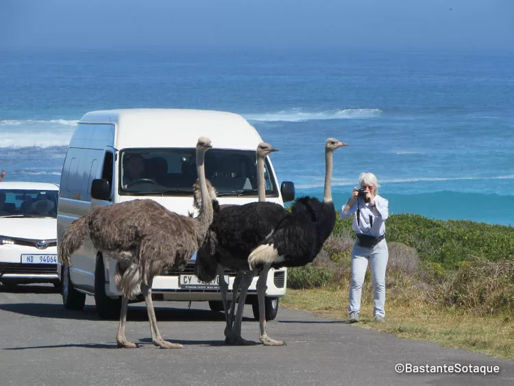 Cabo da Boa Esperança