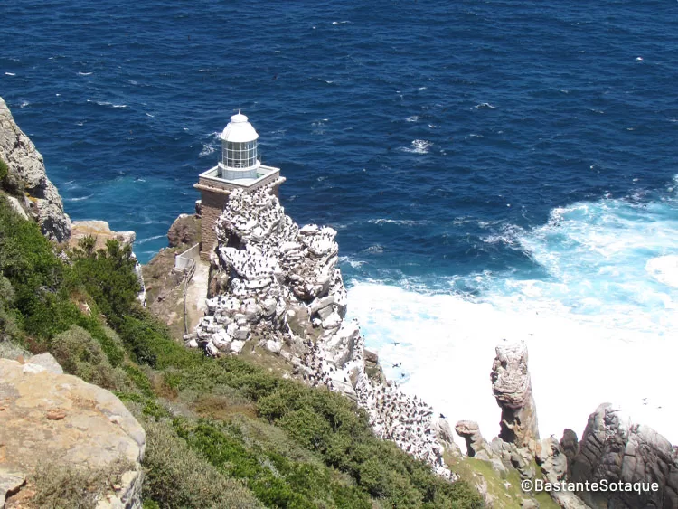 Table Mountain National Park, Cidade do Cabo